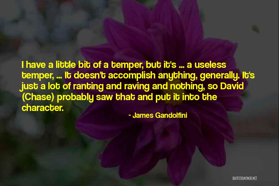 Ranting Quotes By James Gandolfini