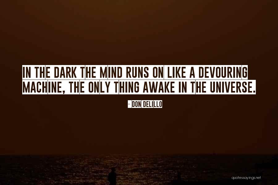 Rantzausgade Quotes By Don DeLillo Rantzausgade Quotes By Don DeLillo
