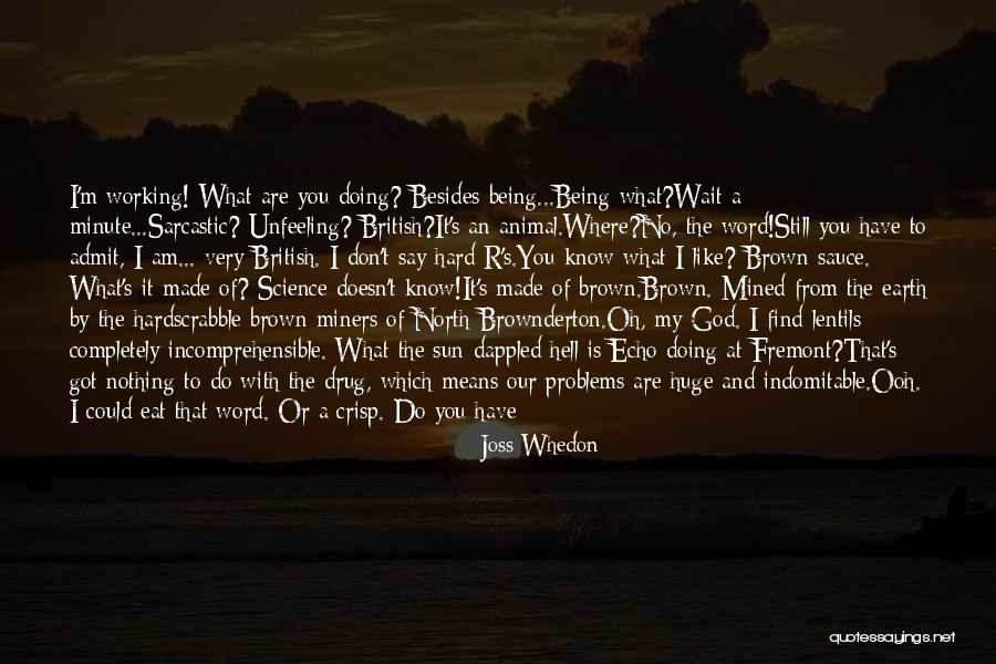 Ranzer Thomas Quotes By Joss Whedon Ranzer Thomas Quotes By Joss Whedon