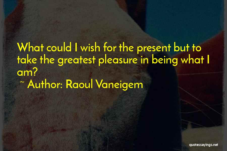 Raoul Vaneigem Quotes 604171