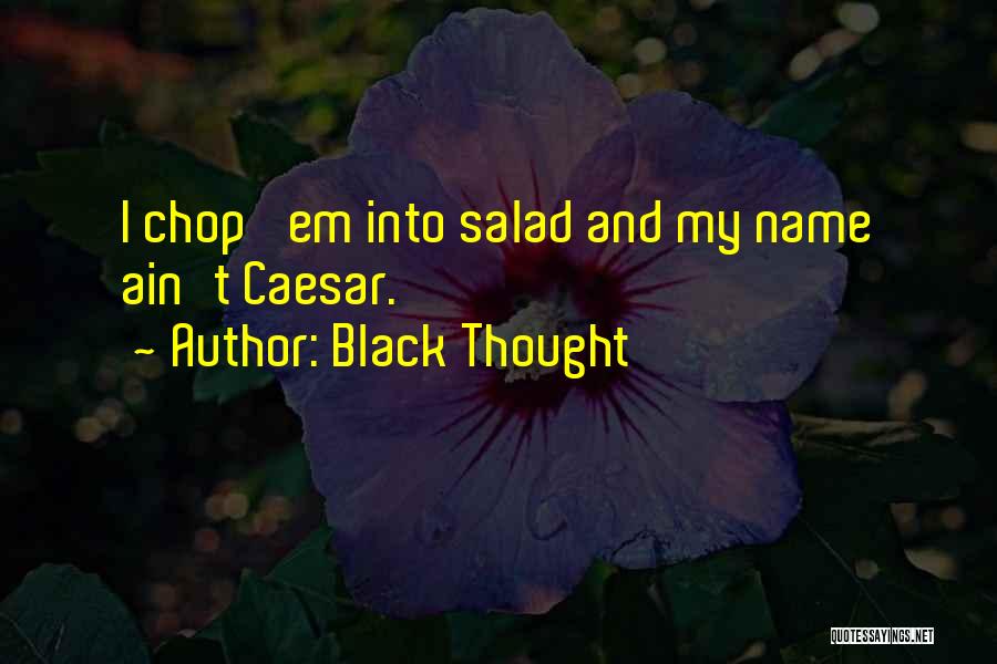 Rap And Hip Hop Quotes By Black Thought