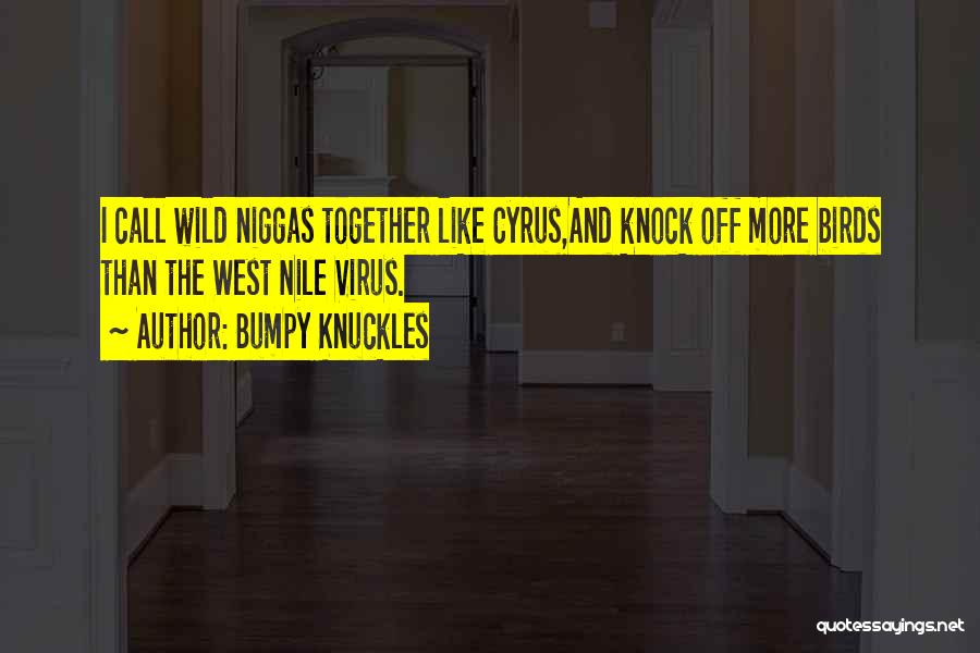 Rap And Hip Hop Quotes By Bumpy Knuckles