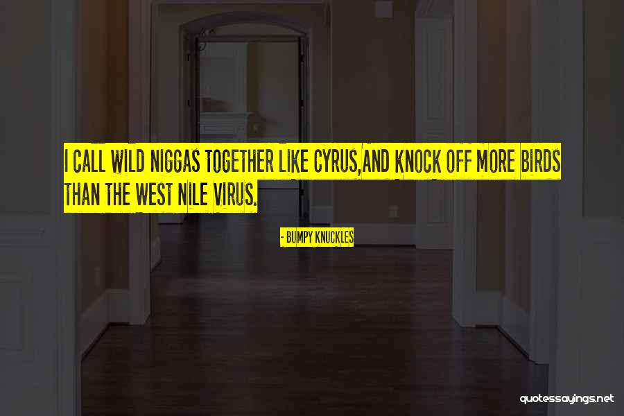 Rap And Hip Hop Quotes By Bumpy Knuckles Rap And Hip Hop Quotes By Bumpy Knuckles