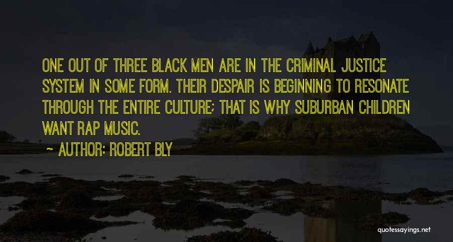 Rap Culture Quotes By Robert Bly