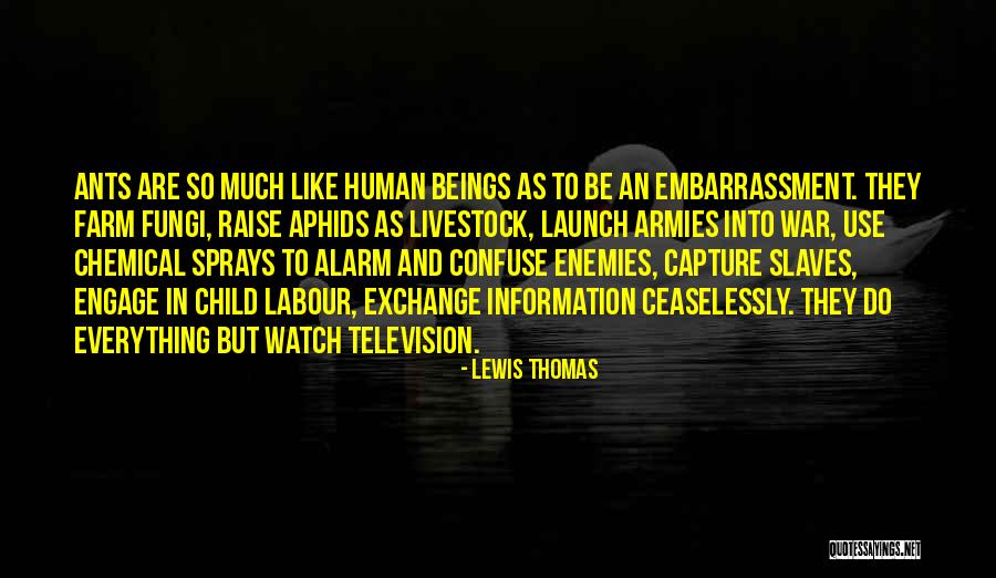 Raparigas Feias Quotes By Lewis Thomas Raparigas Feias Quotes By Lewis Thomas