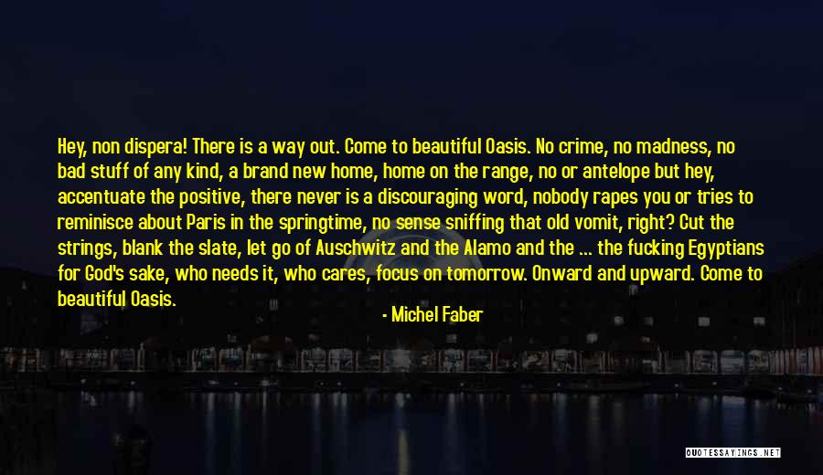 Rapes Quotes By Michel Faber Rapes Quotes By Michel Faber