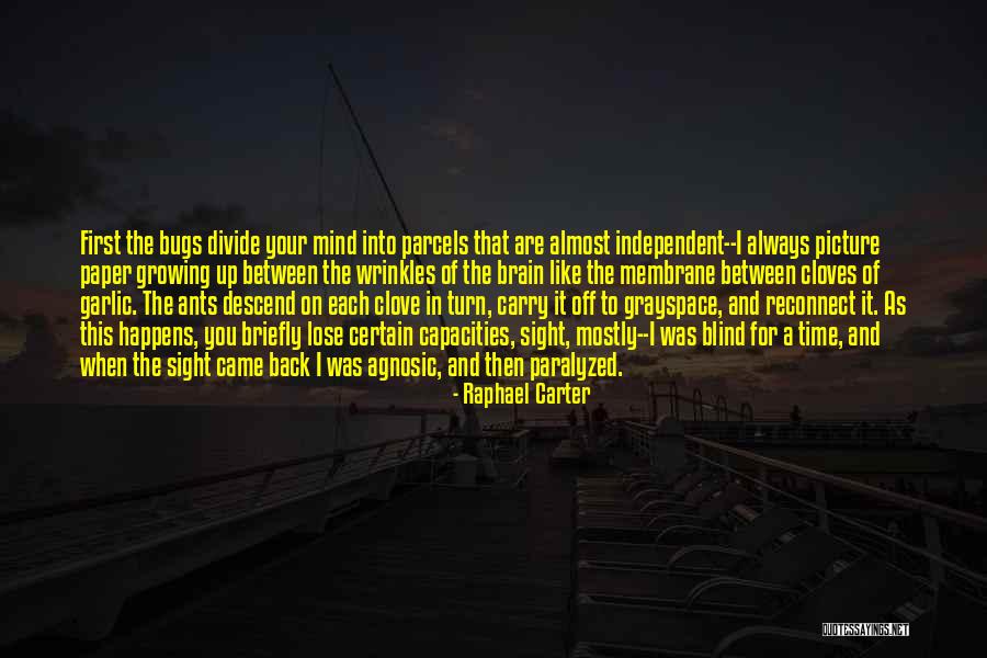 Raphael Carter Quotes 2186384