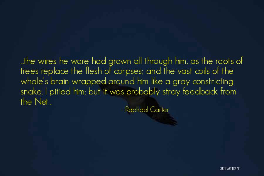Raphael Carter Quotes 403120 Raphael Carter Quotes 403120