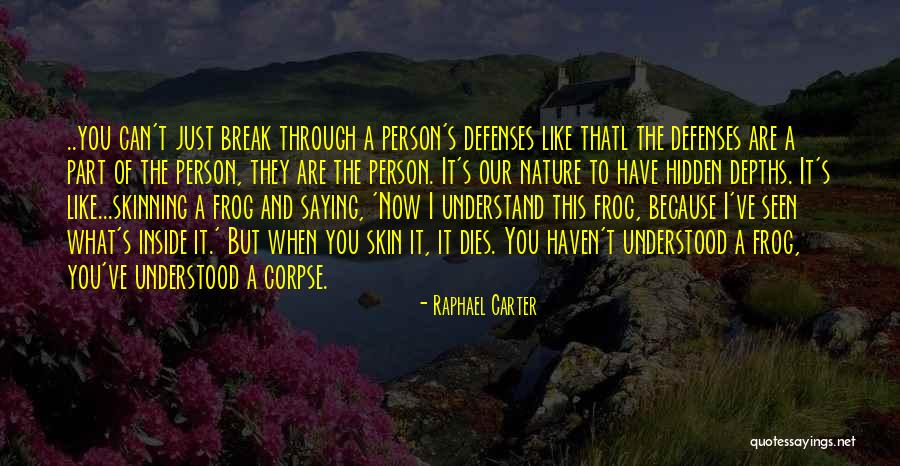 Raphael Carter Quotes 509018