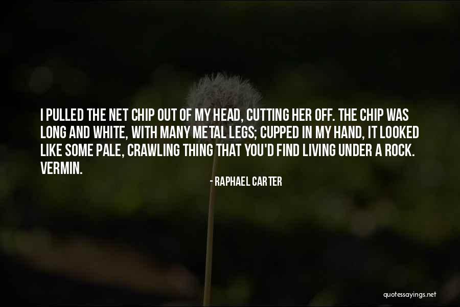 Raphael Carter Quotes 894483