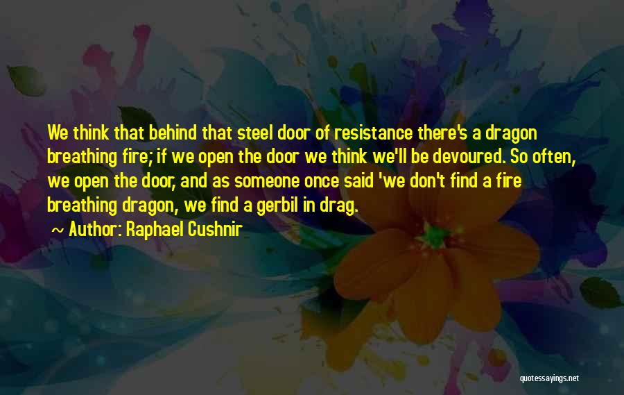 Raphael Cushnir Quotes 1250146