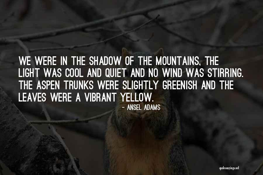 Raphael Independent Quotes By Ansel Adams Raphael Independent Quotes By Ansel Adams
