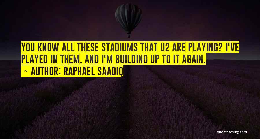 Raphael Saadiq Quotes 1963468