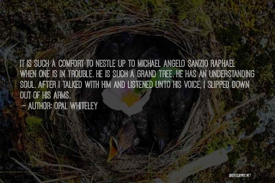 Raphael Sanzio Quotes By Opal Whiteley