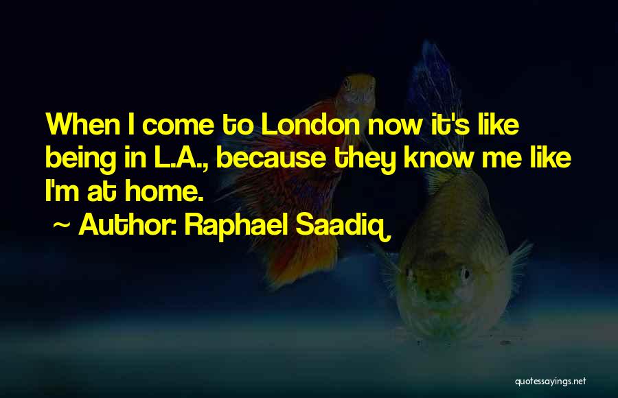 Raphael's Quotes By Raphael Saadiq