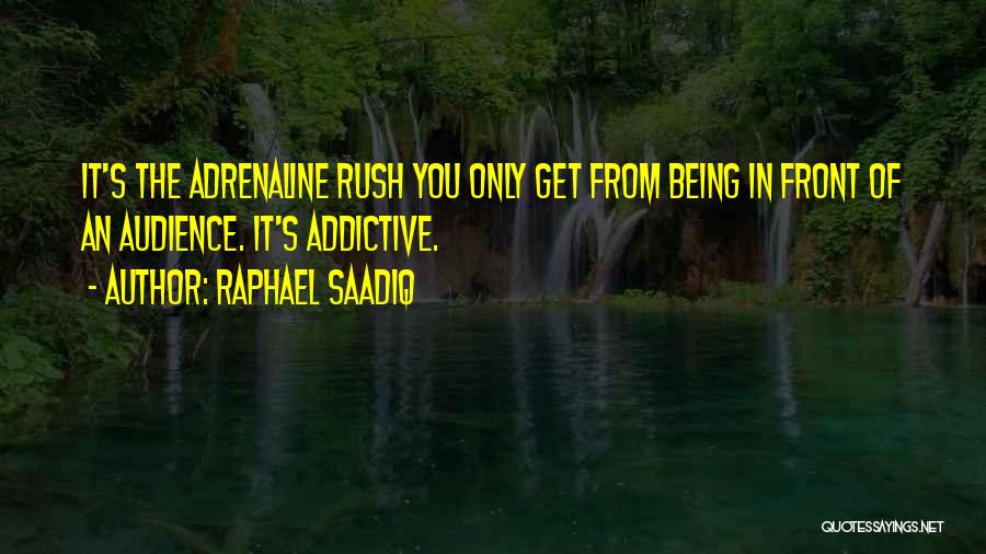 Raphael's Quotes By Raphael Saadiq