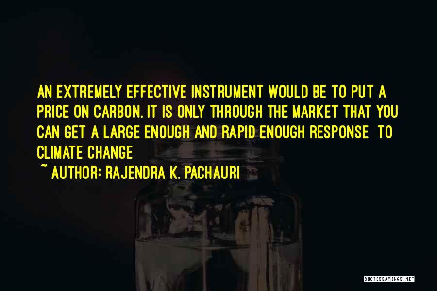 Rapid Change Quotes By Rajendra K. Pachauri
