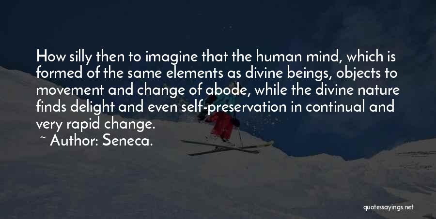 Rapid Change Quotes By Seneca.