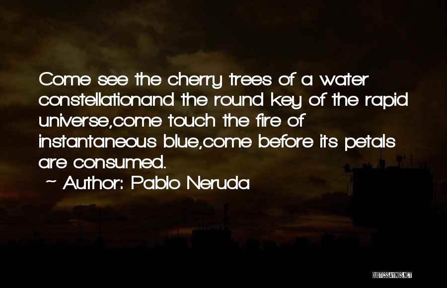 Rapid Fire Quotes By Pablo Neruda