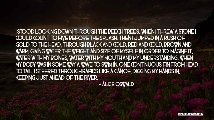 Rapids Quotes By Alice Oswald