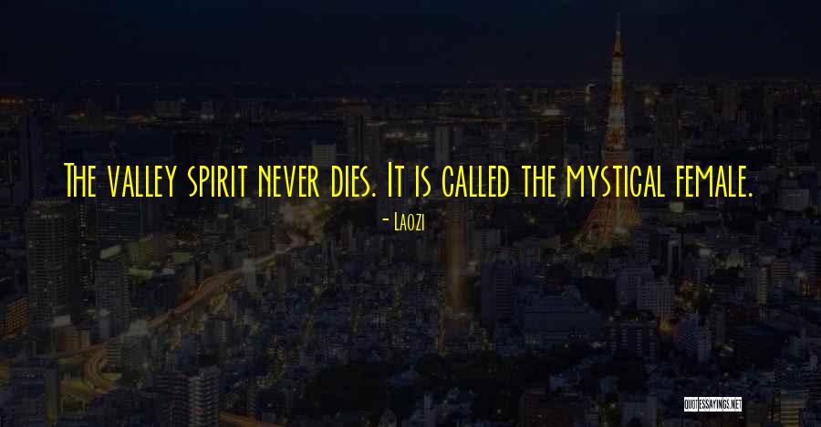 Rapisarda Log Quotes By Laozi Rapisarda Log Quotes By Laozi