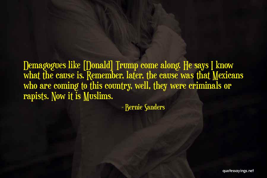 Rapists Quotes By Bernie Sanders Rapists Quotes By Bernie Sanders