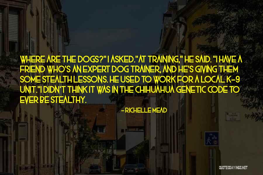 Rapone Soccer Quotes By Richelle Mead Rapone Soccer Quotes By Richelle Mead