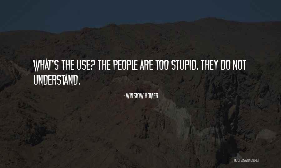 Rapper Steen Quotes By Winslow Homer