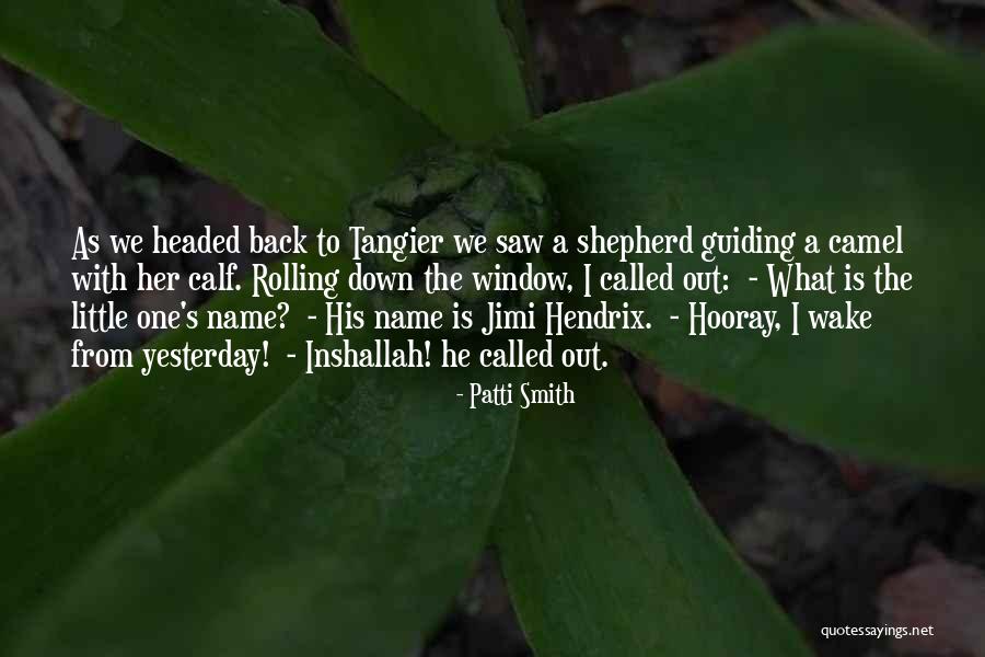 Rapporti Anali Quotes By Patti Smith Rapporti Anali Quotes By Patti Smith
