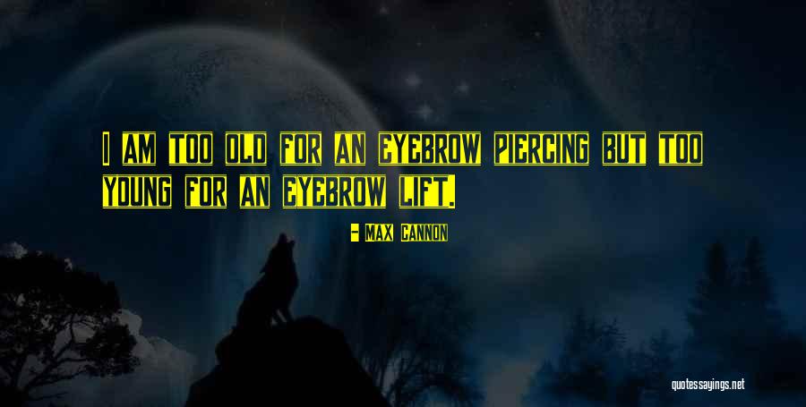 Rapportive Linkedin Quotes By Max Cannon Rapportive Linkedin Quotes By Max Cannon