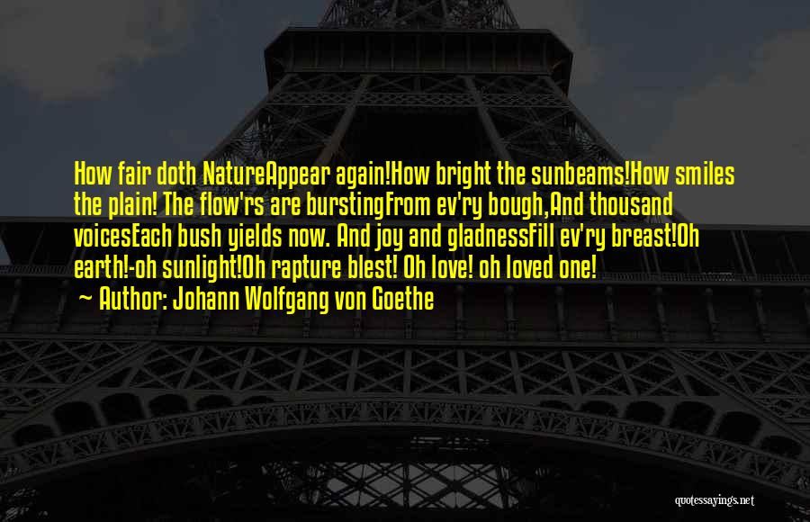 Rapture Love Quotes By Johann Wolfgang Von Goethe