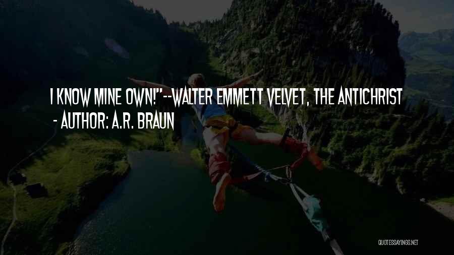 Rapture Quotes By A.R. Braun