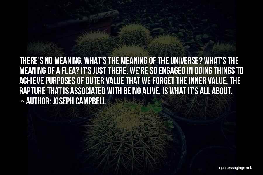 Rapture Quotes By Joseph Campbell