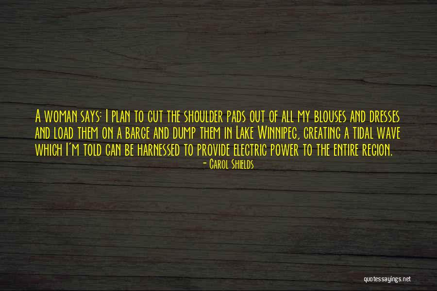 Raptus Movie Quotes By Carol Shields Raptus Movie Quotes By Carol Shields