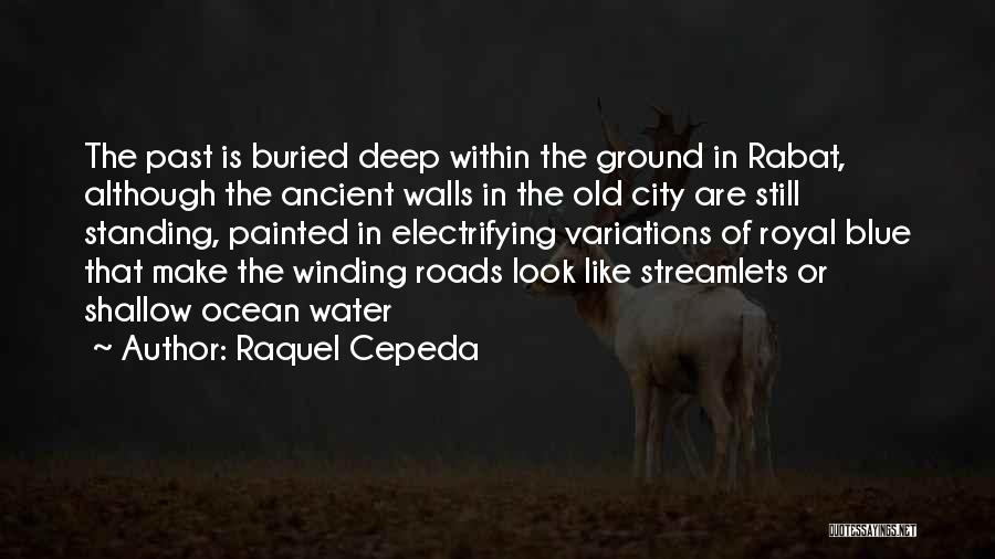 Raquel Cepeda Quotes 1167213