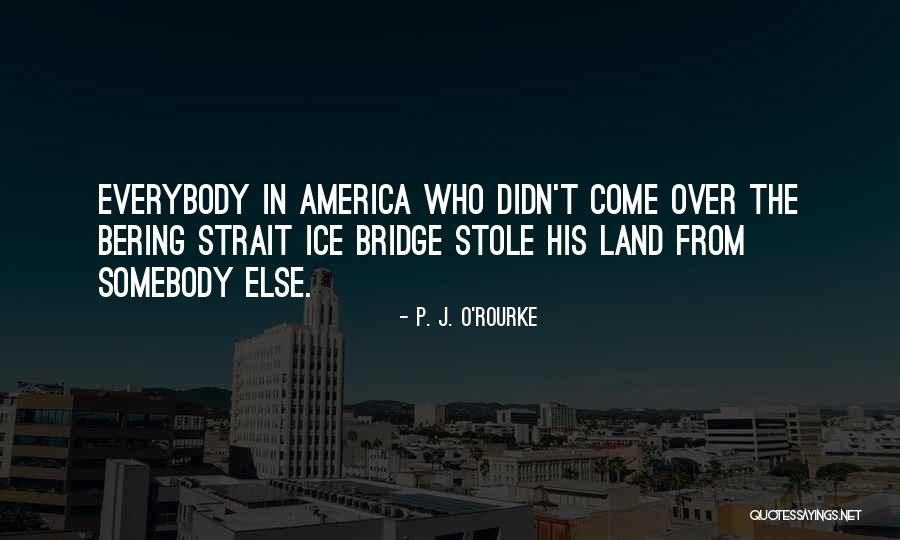 Raquels World Quotes By P. J. O'Rourke Raquels World Quotes By P. J. O'Rourke