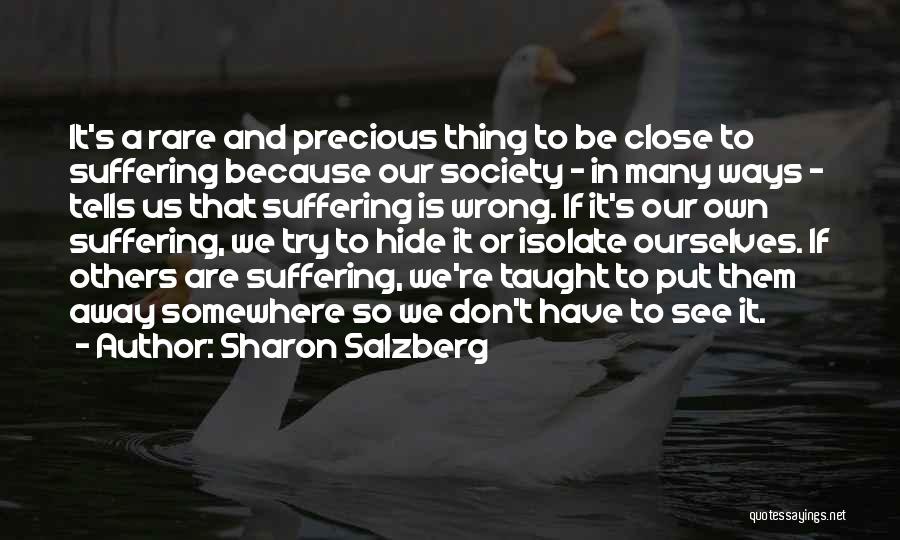 Rare And Precious Things Quotes By Sharon Salzberg