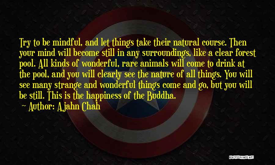 Rare Animals Quotes By Ajahn Chah