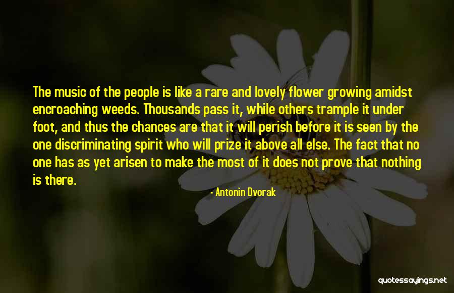 Rare Flower Quotes By Antonin Dvorak Rare Flower Quotes By Antonin Dvorak