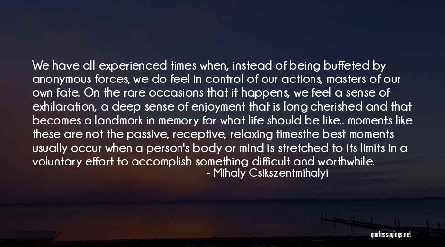 Rare Occasions Quotes By Mihaly Csikszentmihalyi