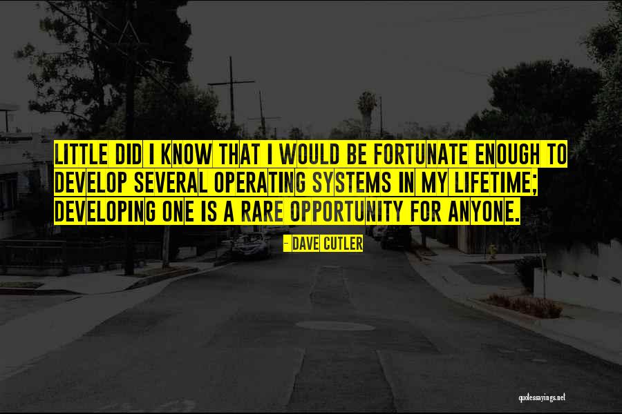 Rare Opportunities Quotes By Dave Cutler