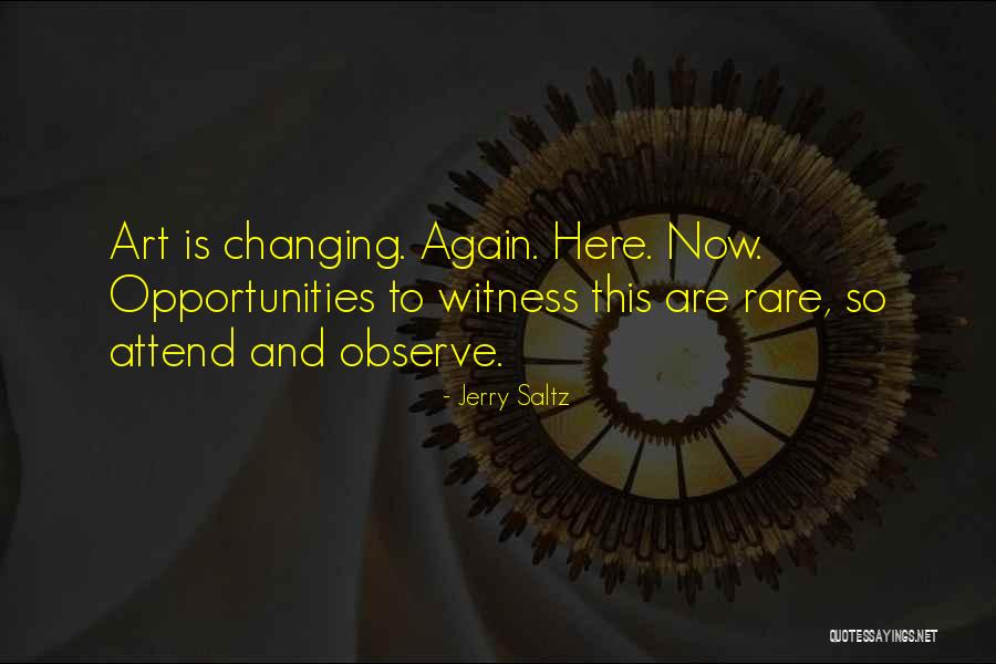 Rare Opportunities Quotes By Jerry Saltz