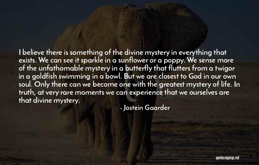 Rare Soul Quotes By Jostein Gaarder Rare Soul Quotes By Jostein Gaarder