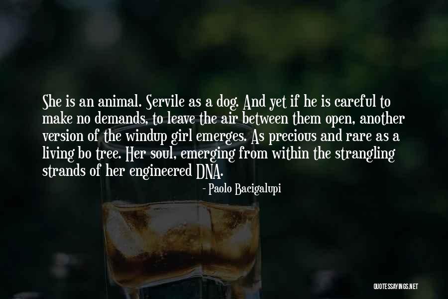 Rare Soul Quotes By Paolo Bacigalupi Rare Soul Quotes By Paolo Bacigalupi