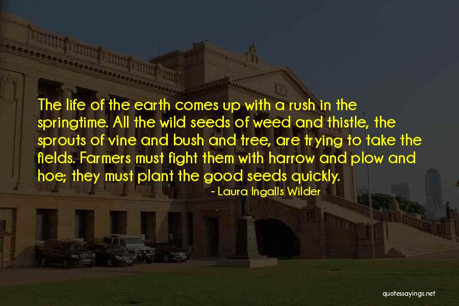 Rasaq Ghetto Quotes By Laura Ingalls Wilder Rasaq Ghetto Quotes By Laura Ingalls Wilder