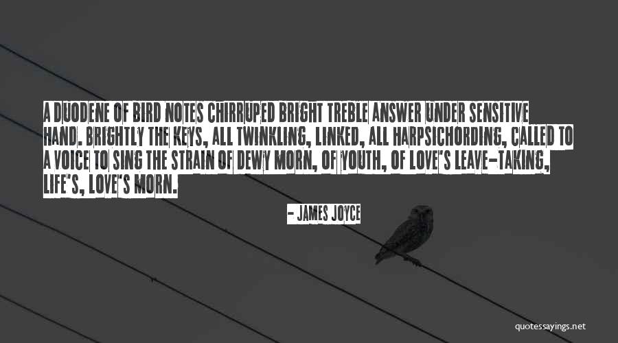 Rasedate Quotes By James Joyce Rasedate Quotes By James Joyce