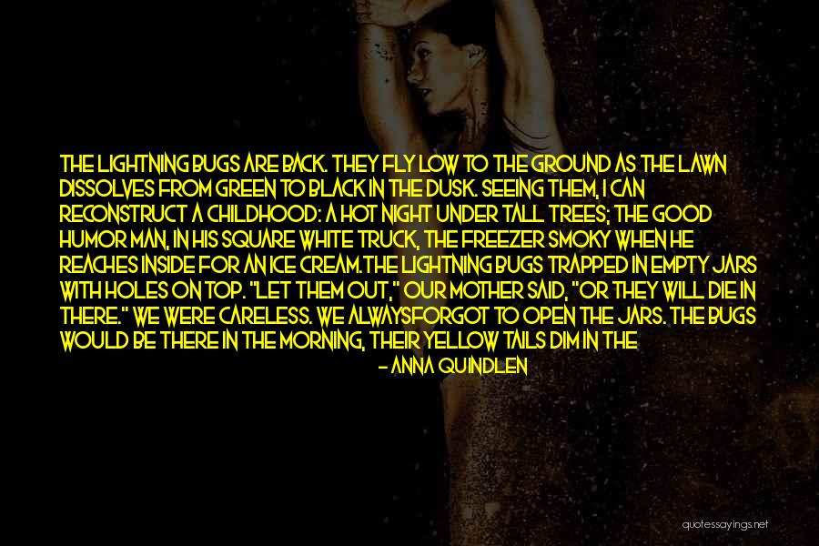 Rasheem Mcclain Quotes By Anna Quindlen Rasheem Mcclain Quotes By Anna Quindlen