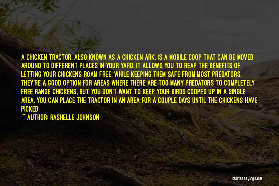 Rashelle Johnson Quotes 1380353