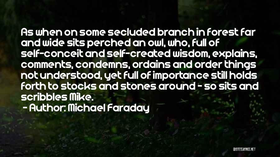 Rasher Acnh Quotes By Michael Faraday