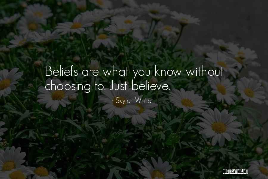 Rashis Accomplishments Quotes By Skyler White